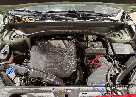 2024 Kia Telluride Ex z USA, uszkodzony, nr VIN 5XYP3DGC0RG482926